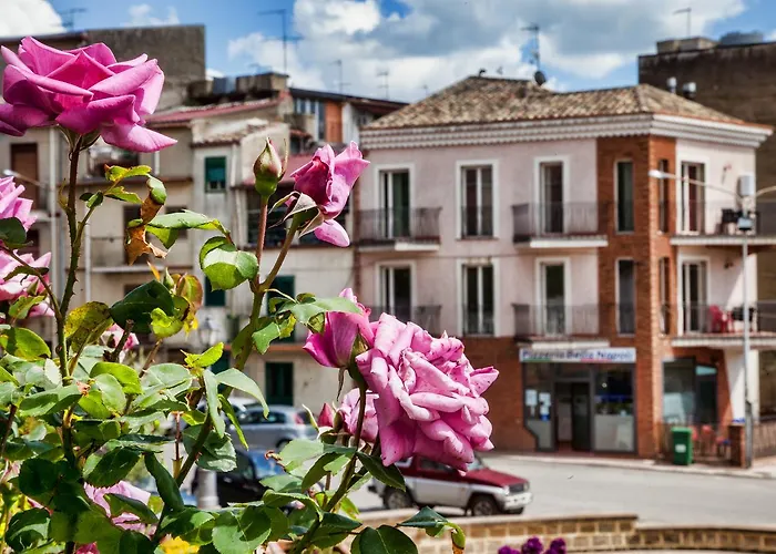 Alojamento de Acomodação e Pequeno-almoço La Casa Dei Miraglia San Cataldo (Sicily)
